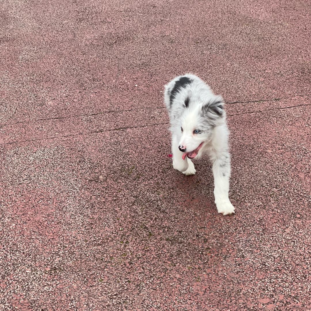 记录生活中的点滴
