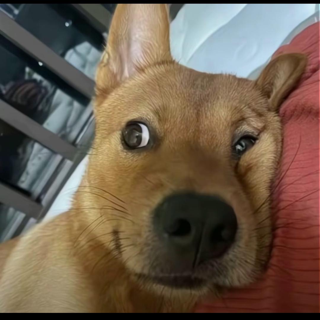 可能