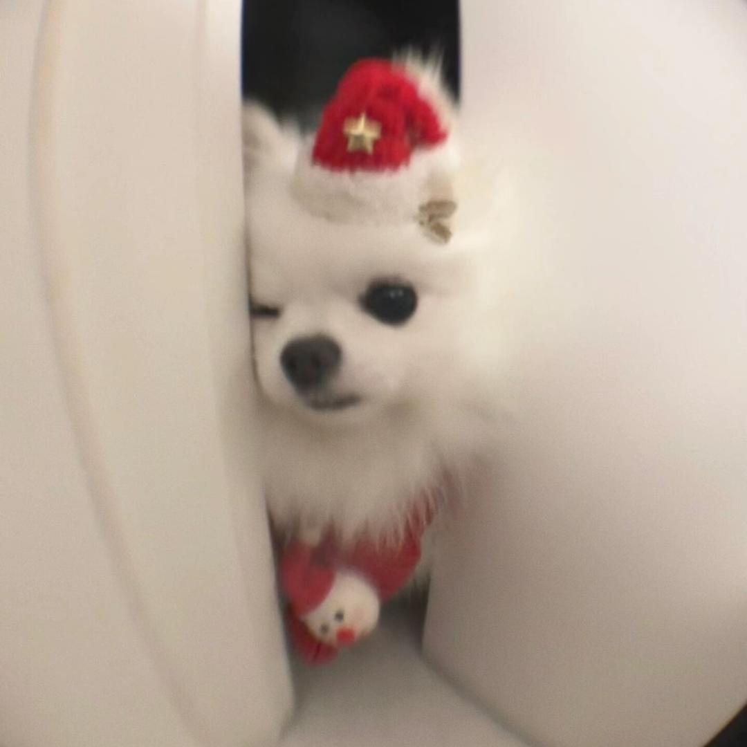此人绝非扇贝