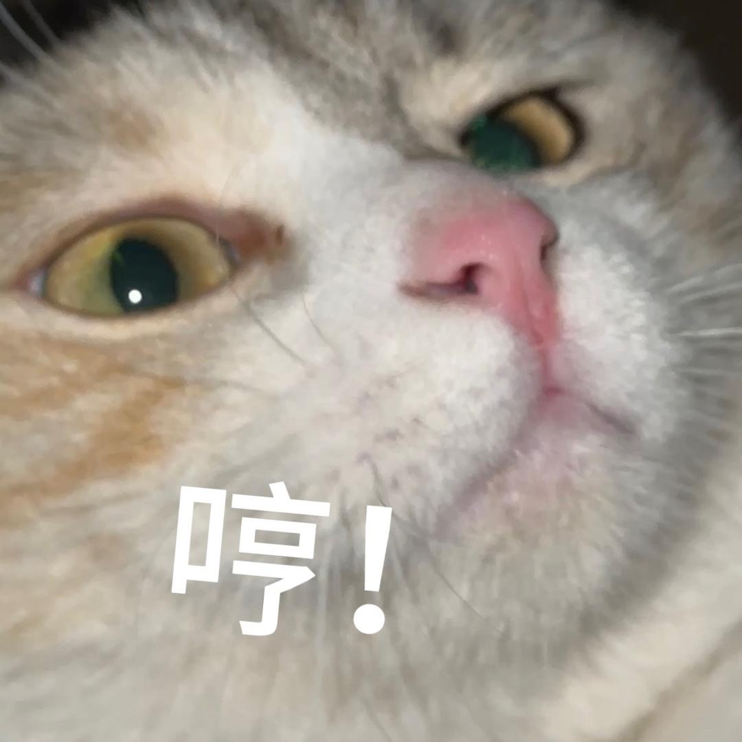 强七