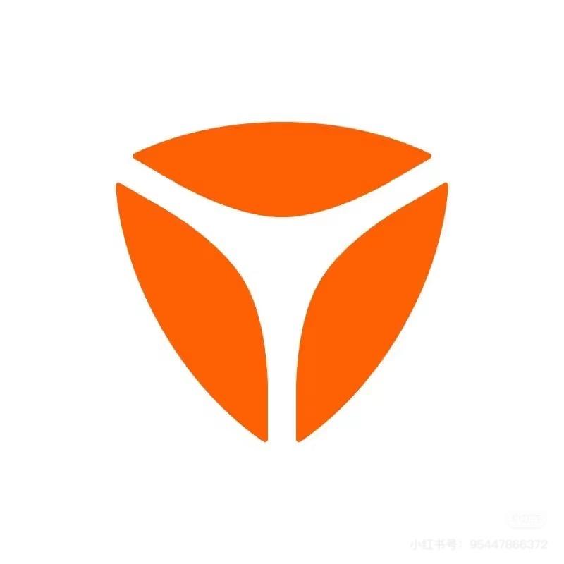 申丫头（上蔡一高雅迪）