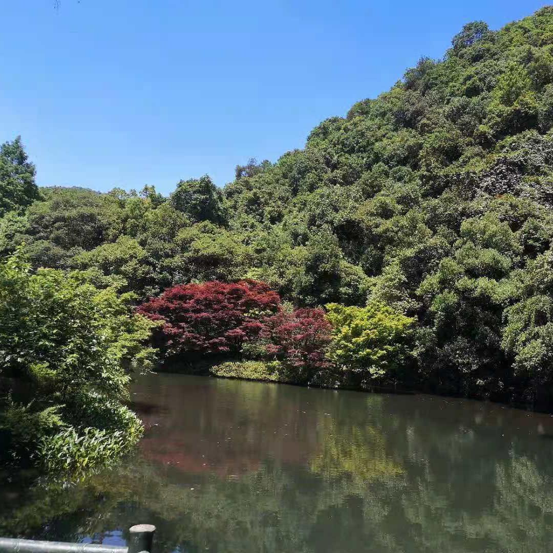 先知