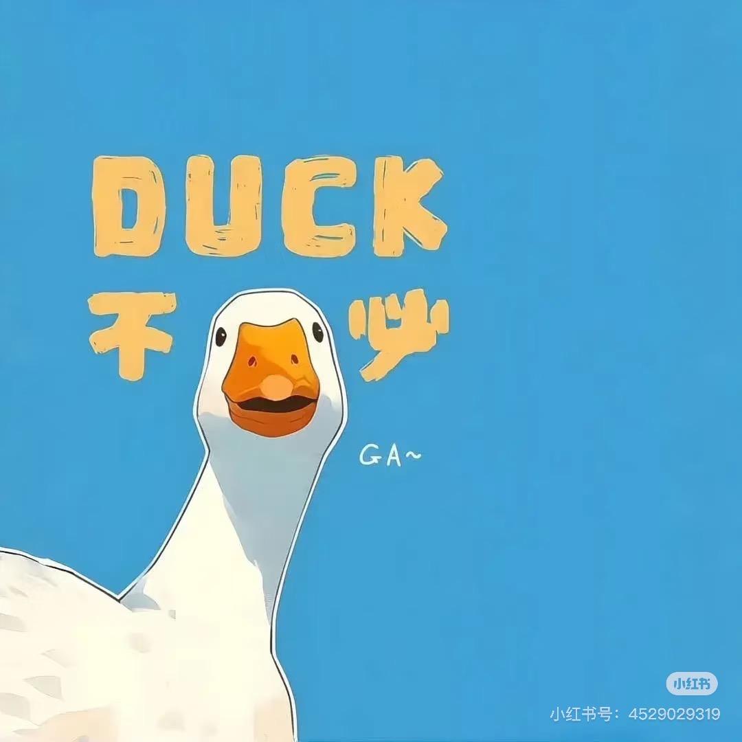王董董