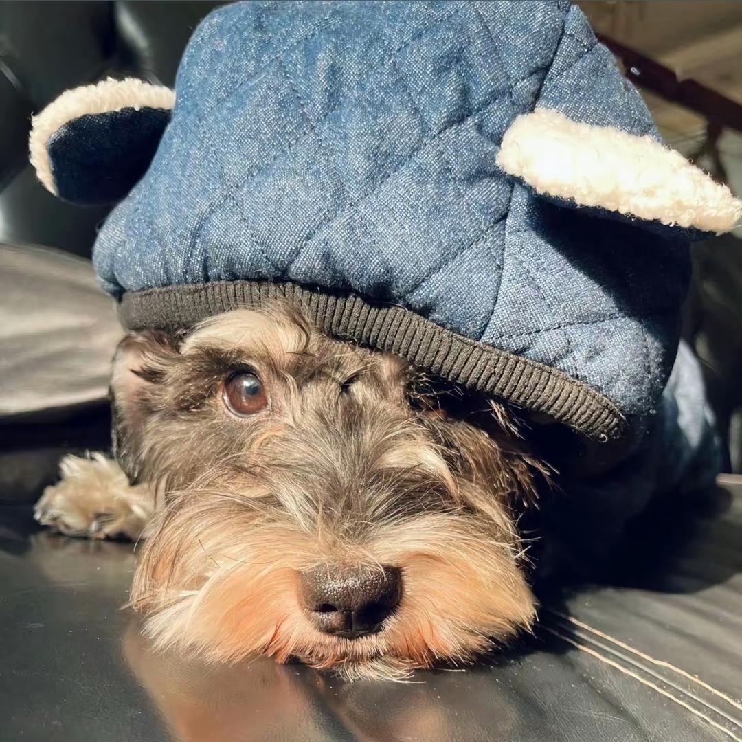 超级无敌霹雳柯🦁