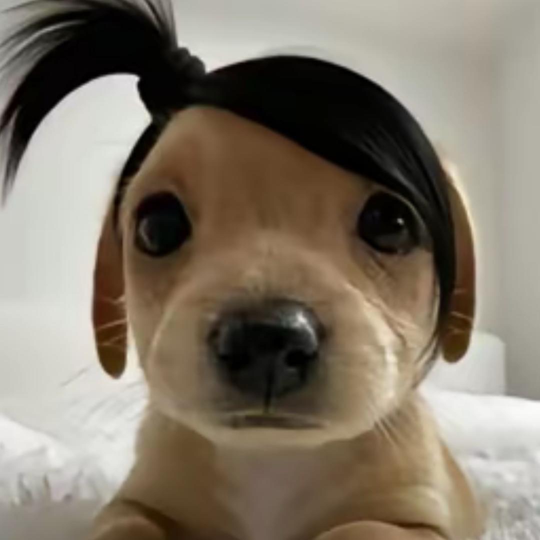 鱿鱼丝