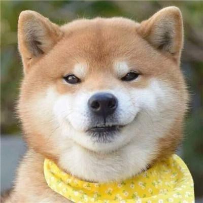 猛猛旭wow