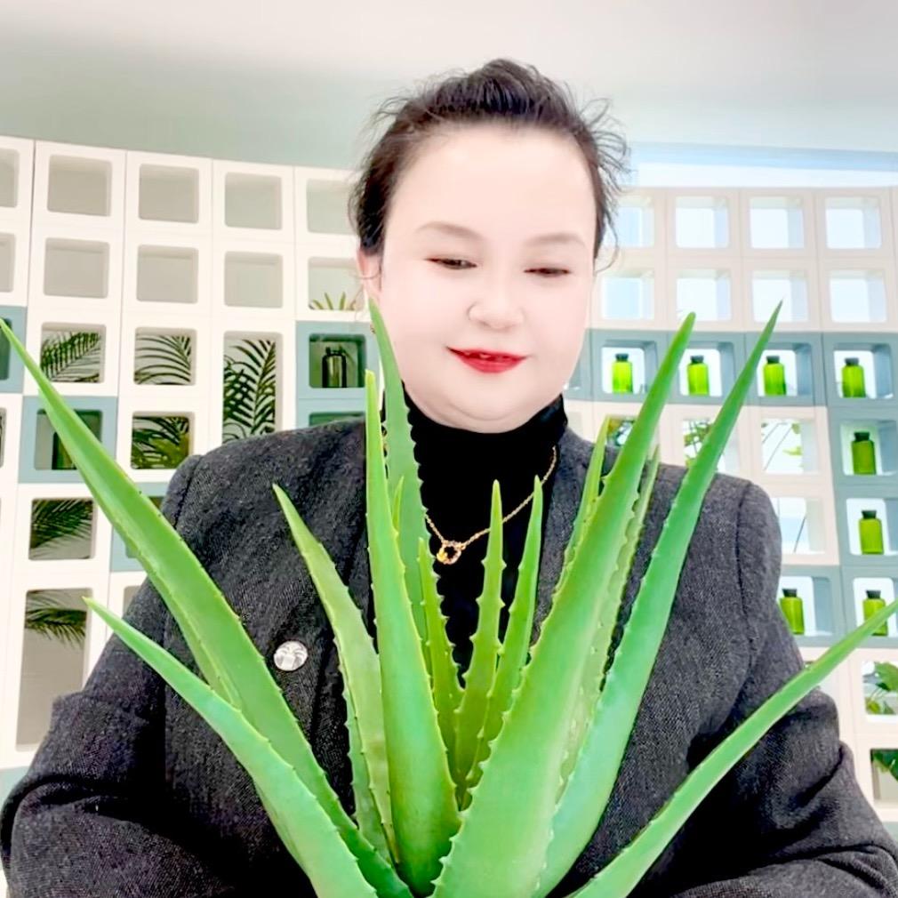 飞得更高