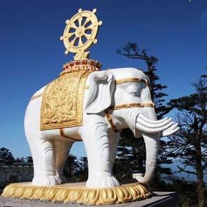 扶摇直上