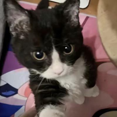 权尤里