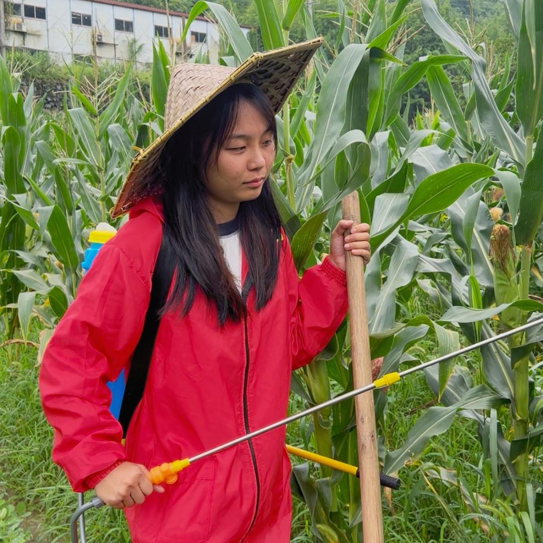 奇妙不奇妙