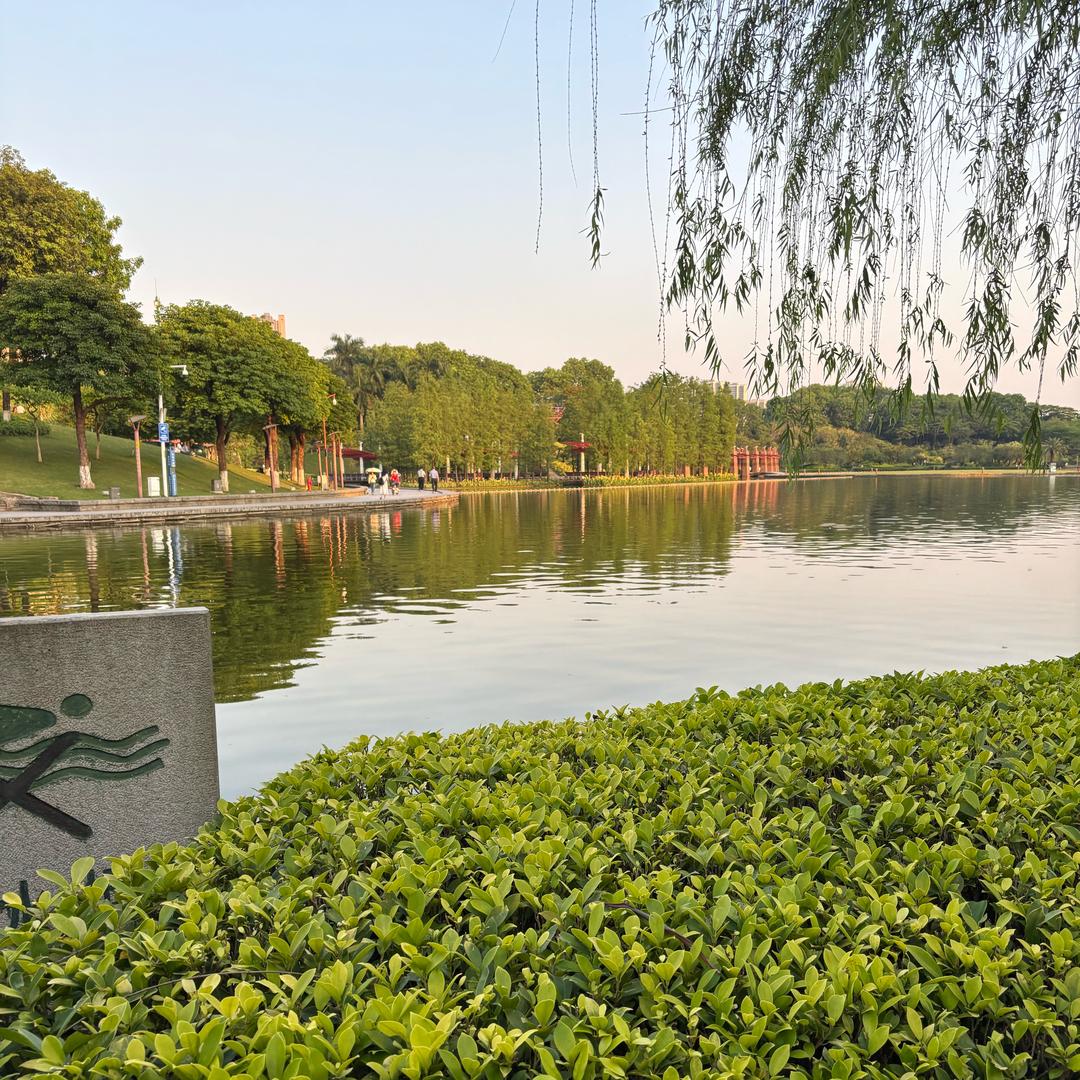 为自己的前途加油🫰🫰🌹🌹🌞🌞