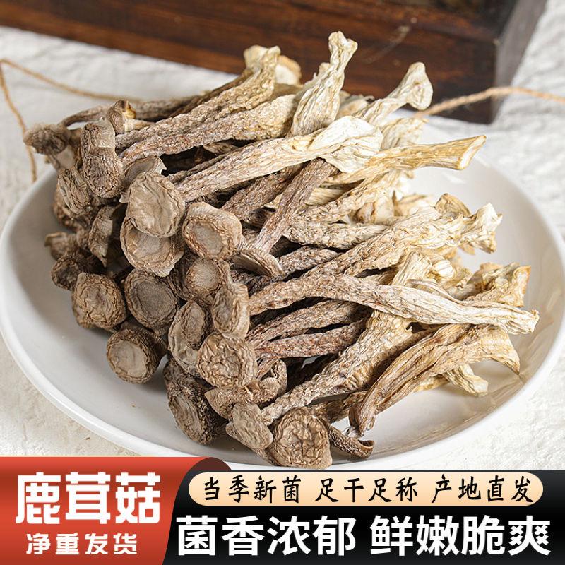 菌状元干货店