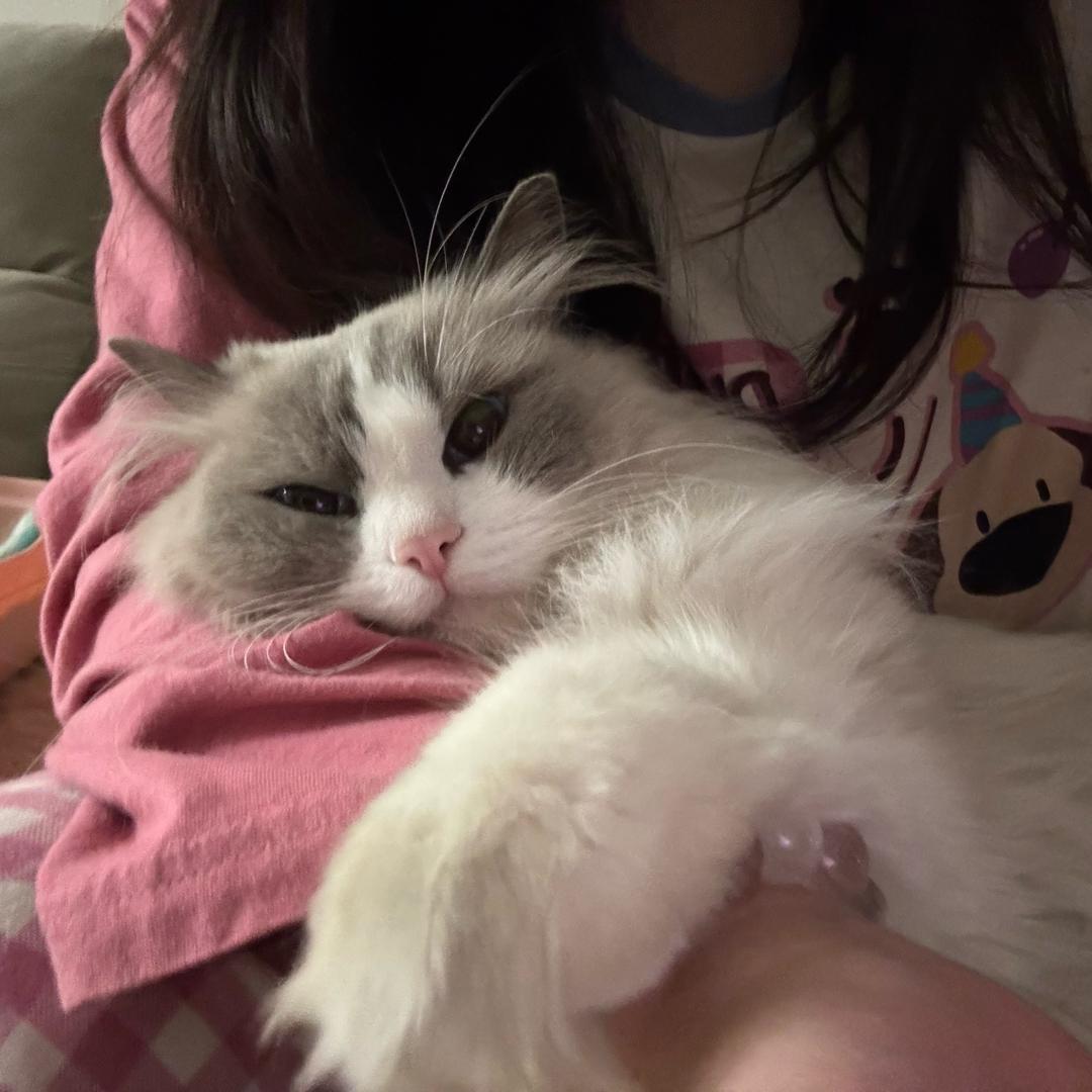 除为为