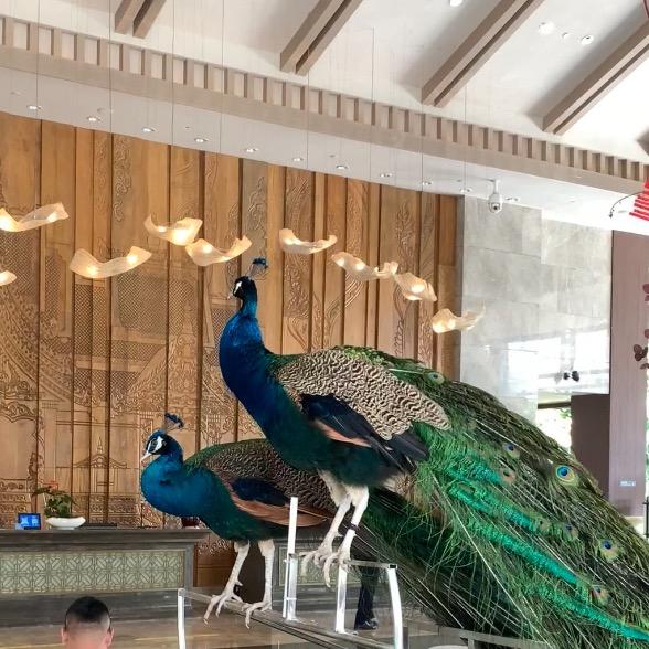 西双版纳集成吊顶厂