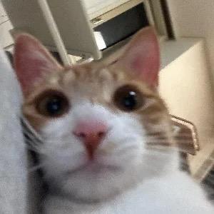 青钢影