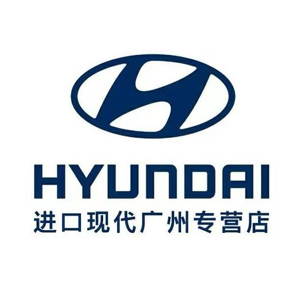 现代进口-广东中现店