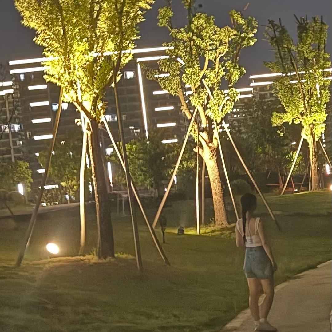 是宝啊
