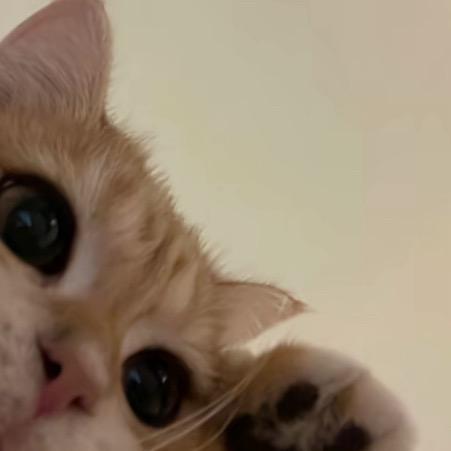 kiki-