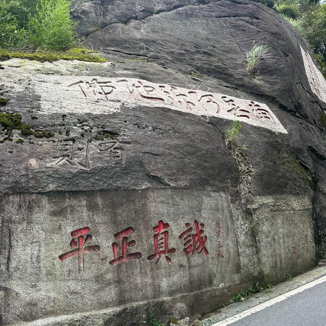 实观