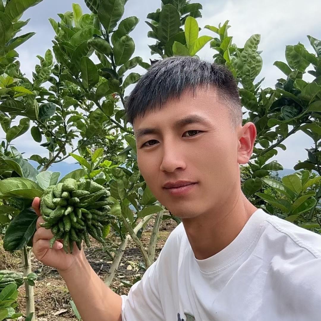 陈语花笺-甄选