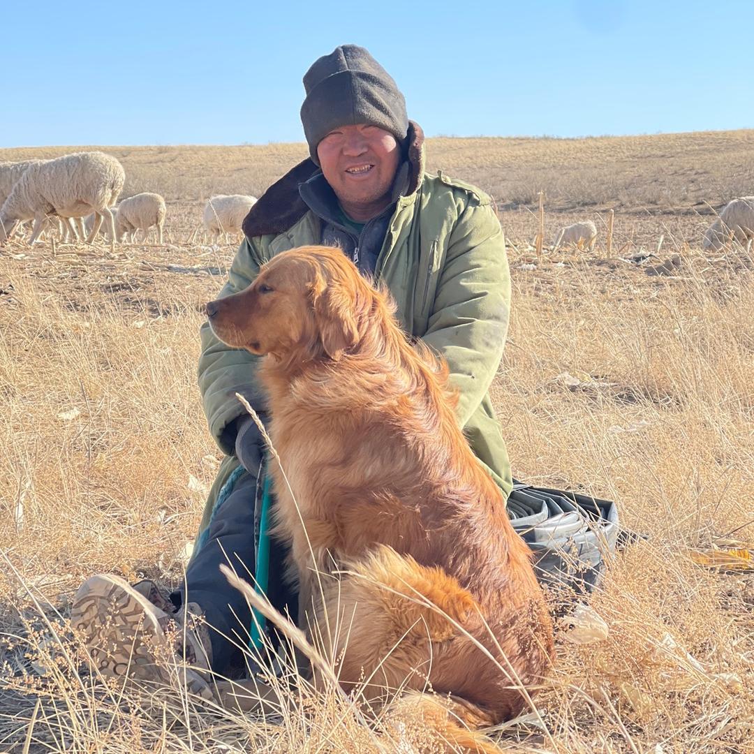 草原先生26号铸铁锅