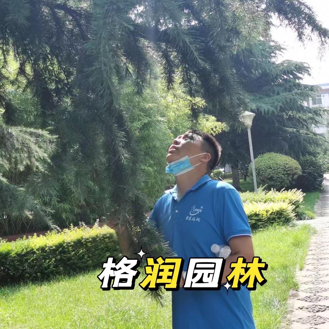 刘师傅劳恩格润技术