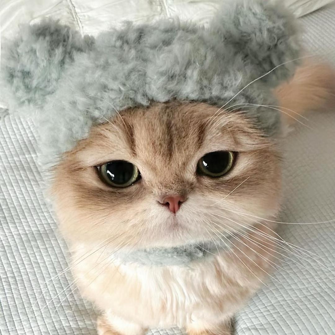 ⌓‿⌓汤圆