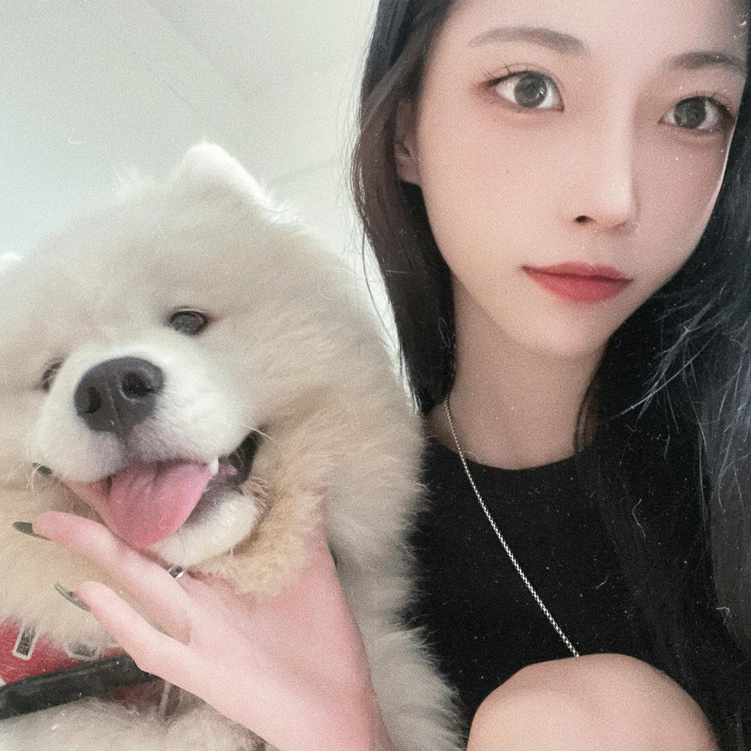 是北北呀