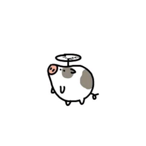 闪啊闪