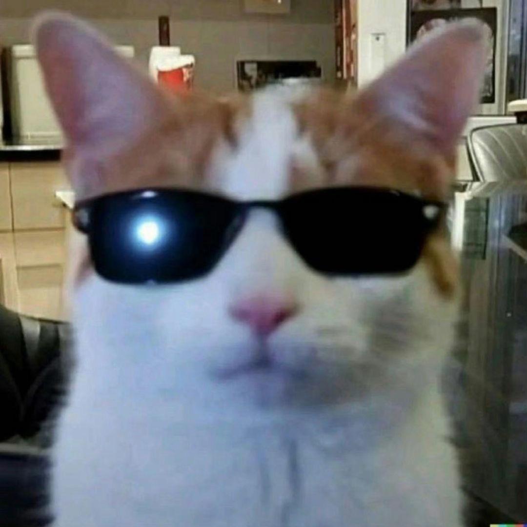 Cattyllo🐱（见过汤令山版）