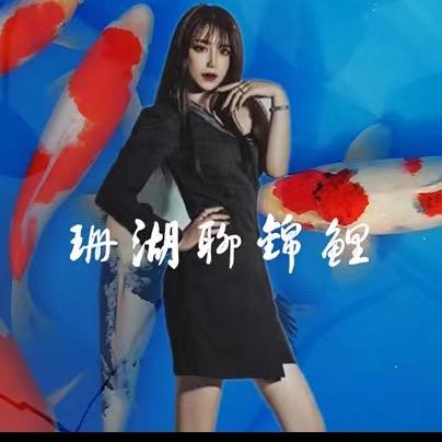 济南珊湖锦鲤养殖场