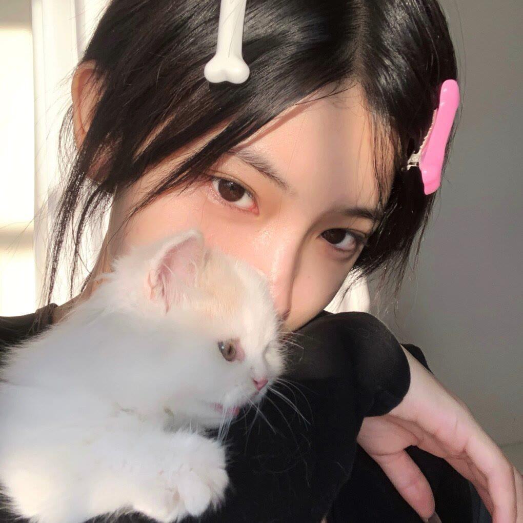 爱吃煎蛋