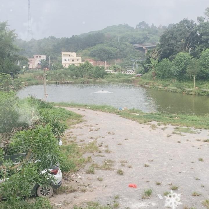 罗定大埇钓鱼场