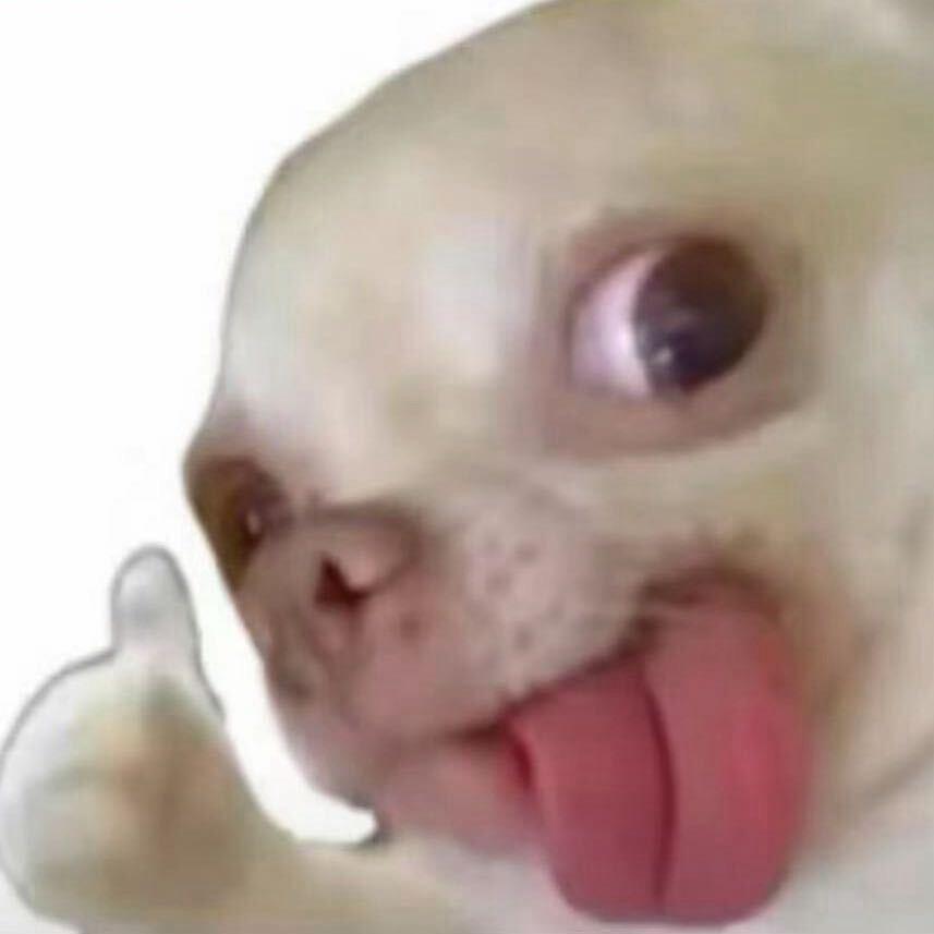 披萨心肠