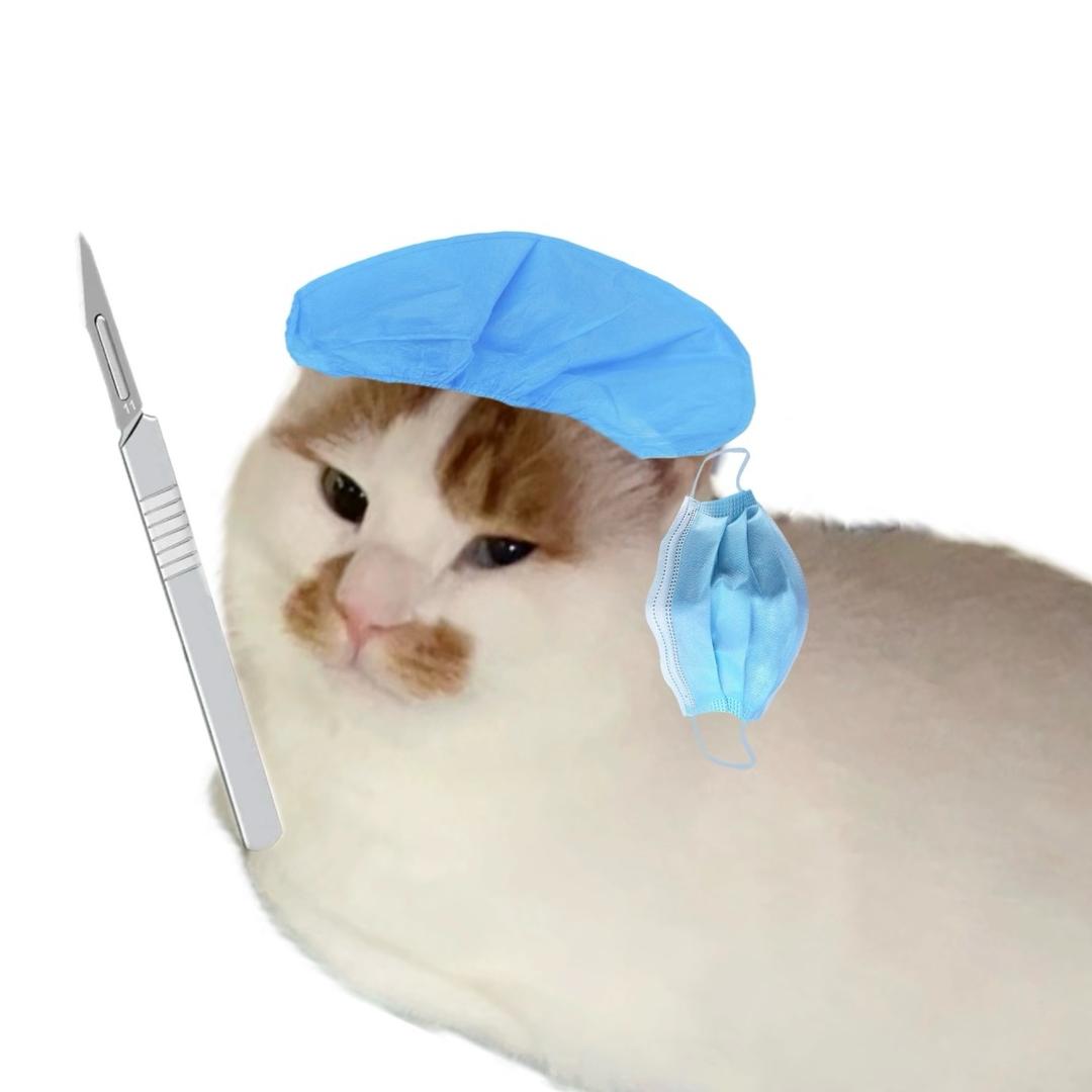 春归知