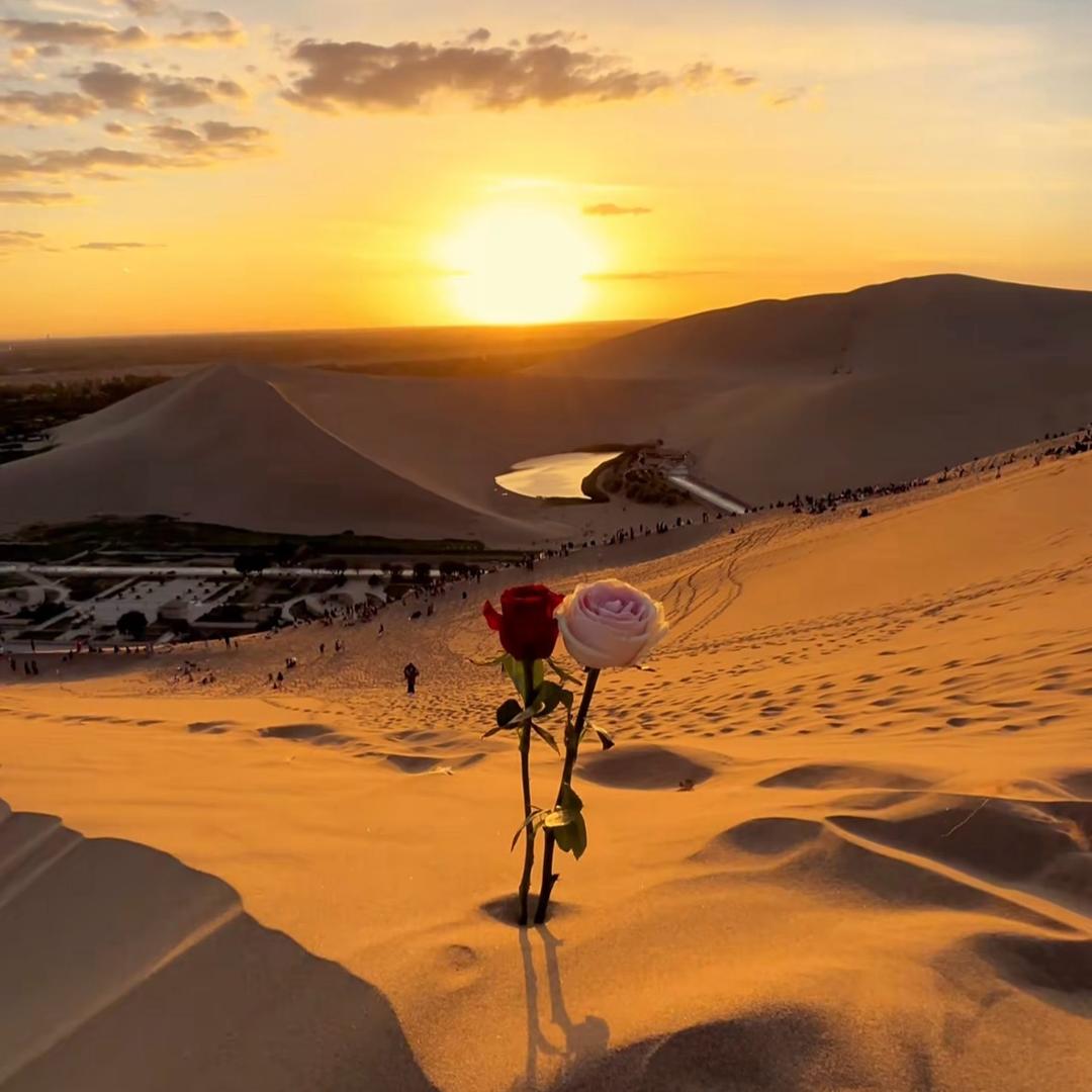 旅拍||跃探长（青甘环线组队中）