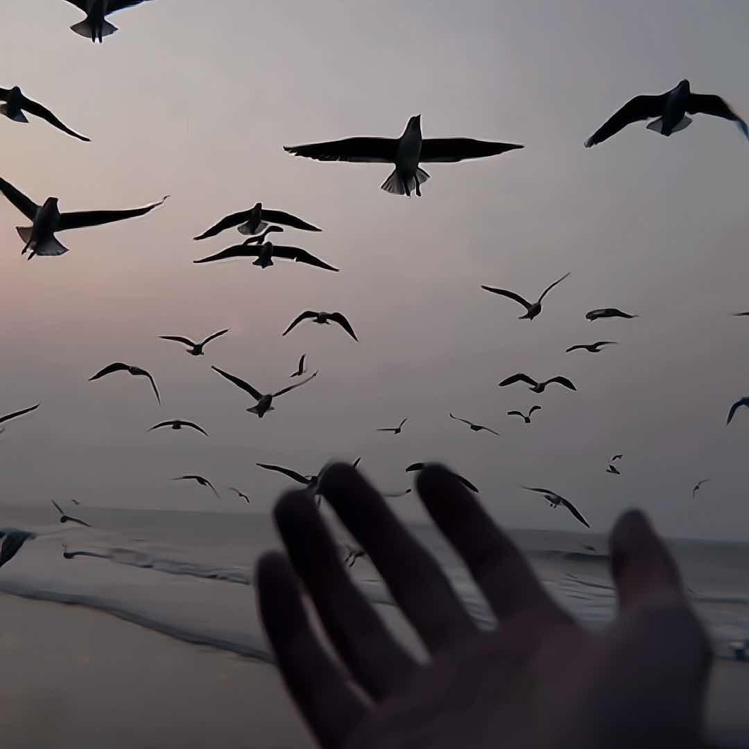 ｄａ
