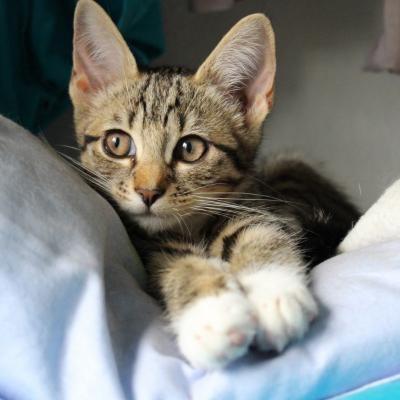 太阳下了有月光🍃