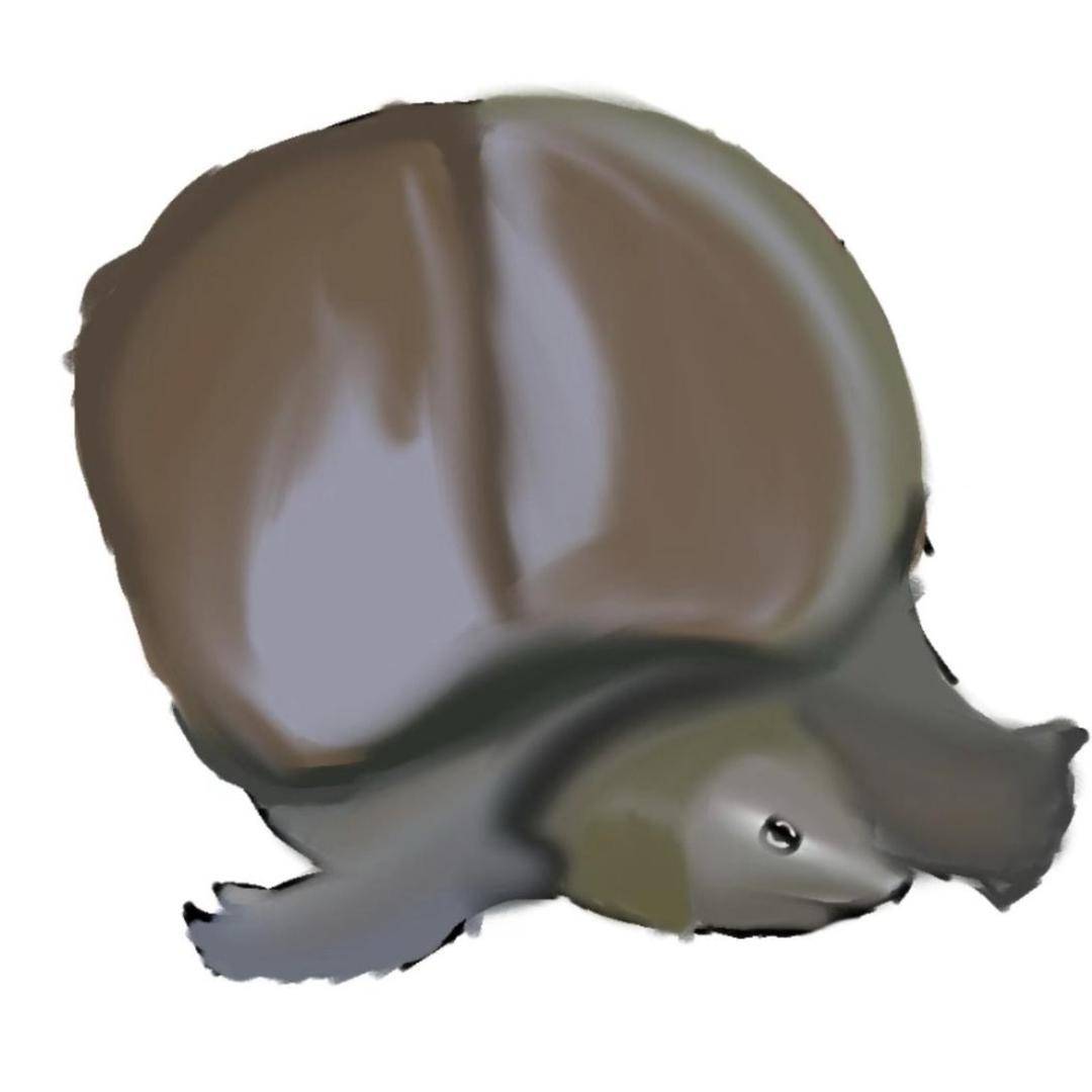 Yumii