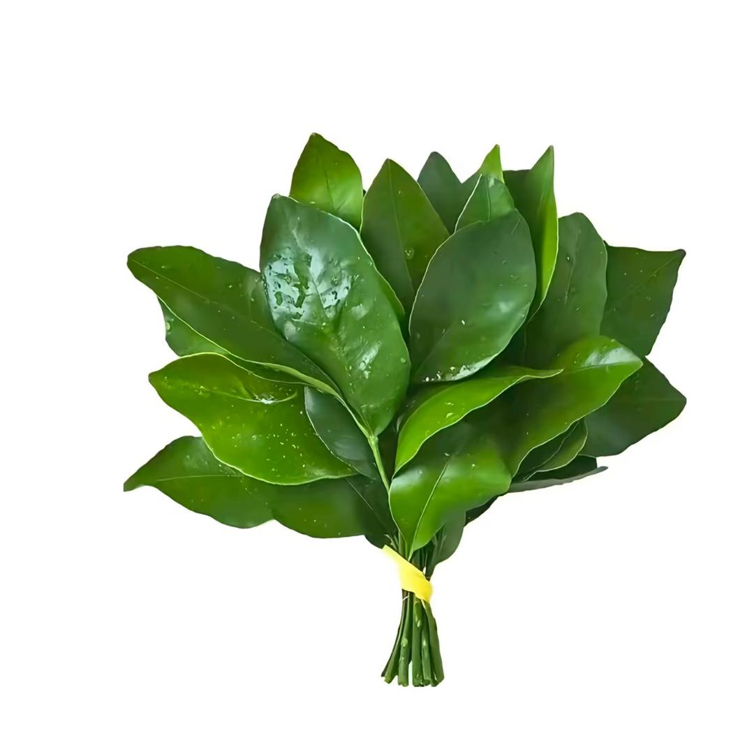 ….
