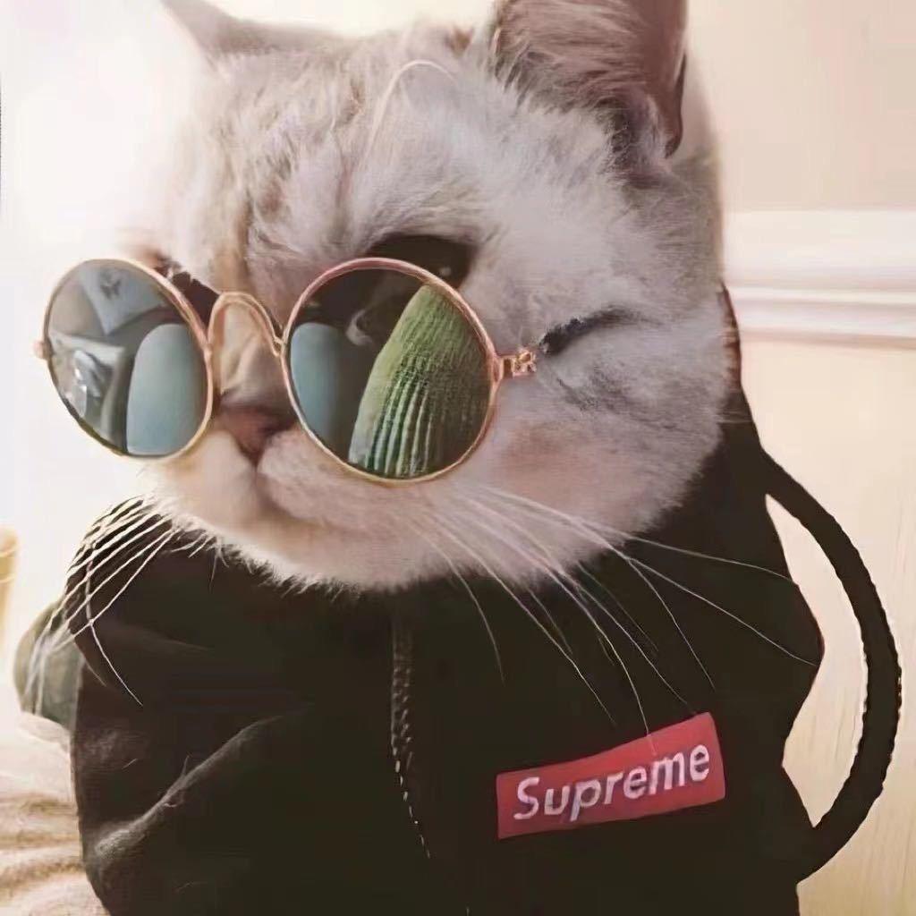 秀儿