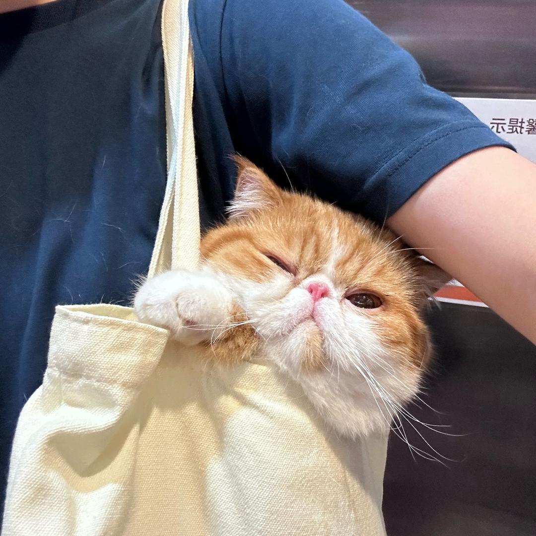 冷不丁邦邦就两拳