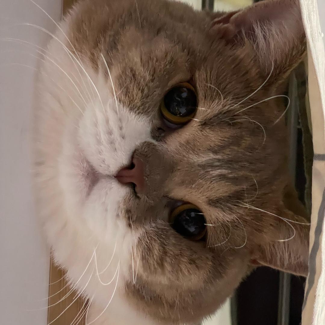 🌈哒卟溜两颗湘菜