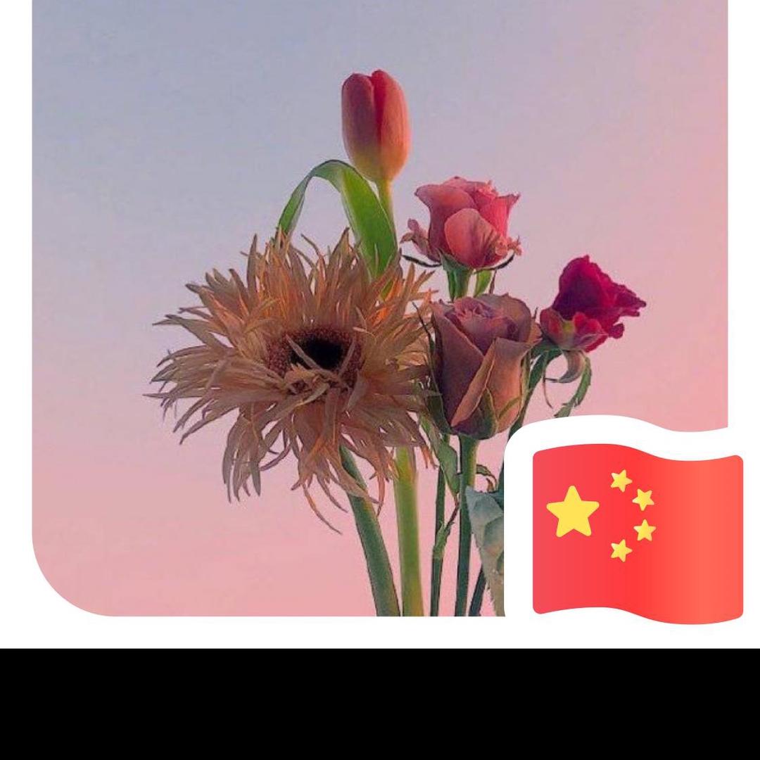 亲亲我的宝贝520