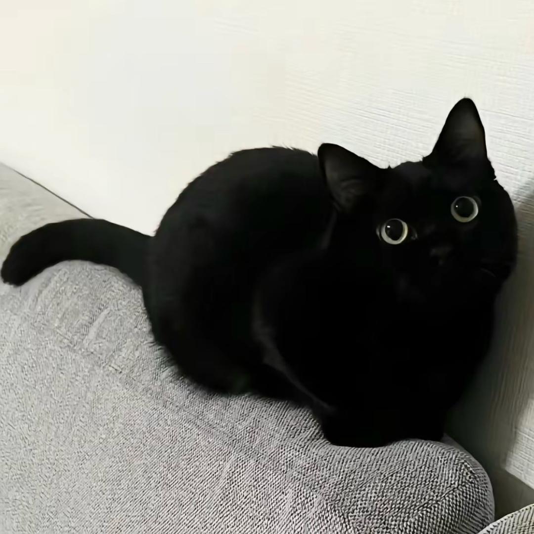 宝宝.