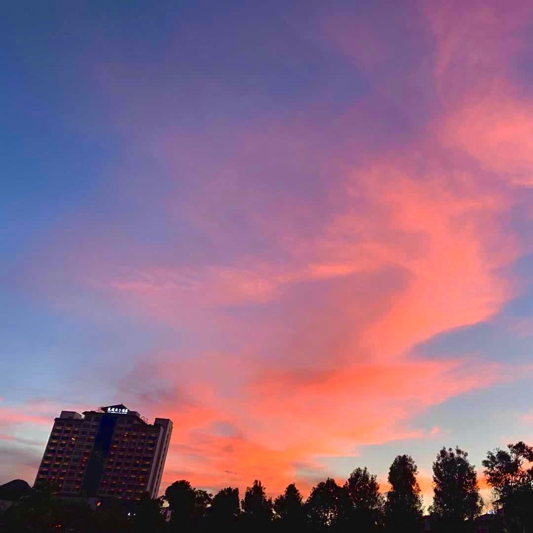远山的枫