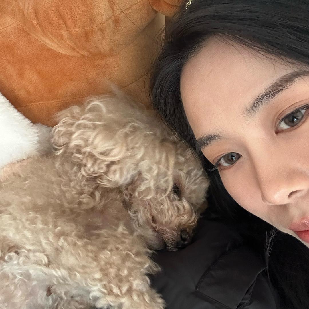 踢踢发现了什么