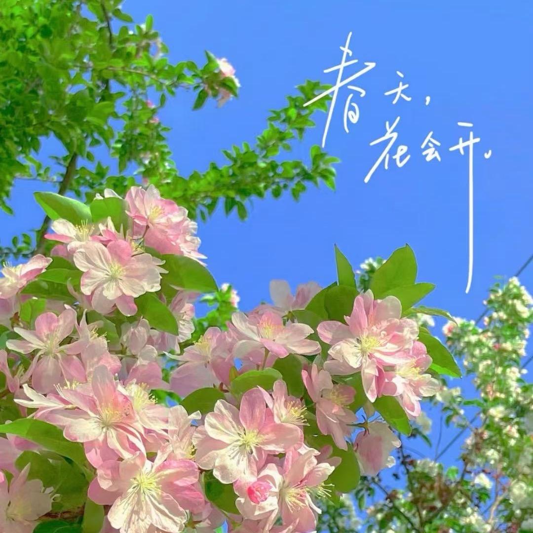 小月