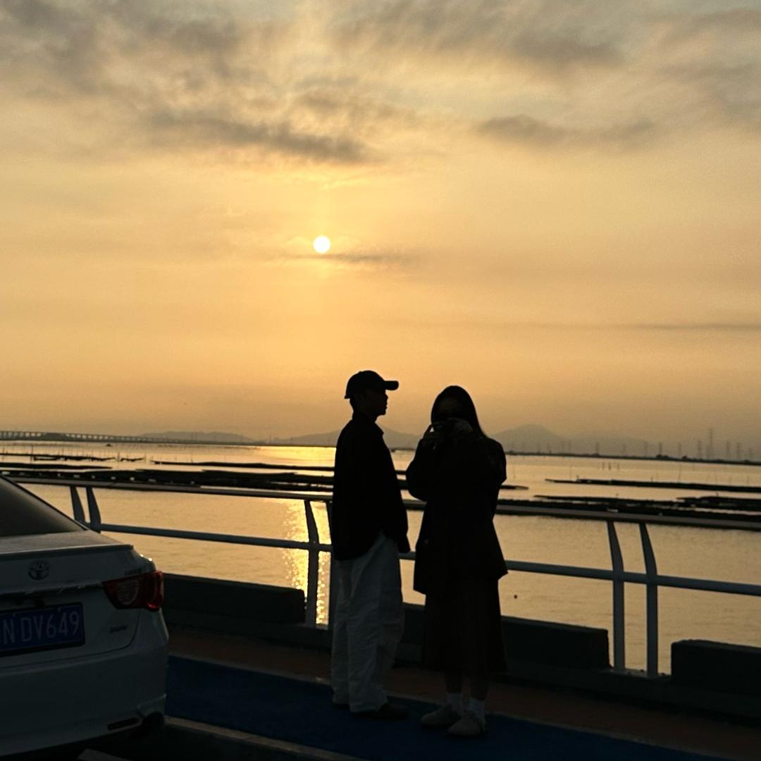 发菜小刘鸭（硬装版）