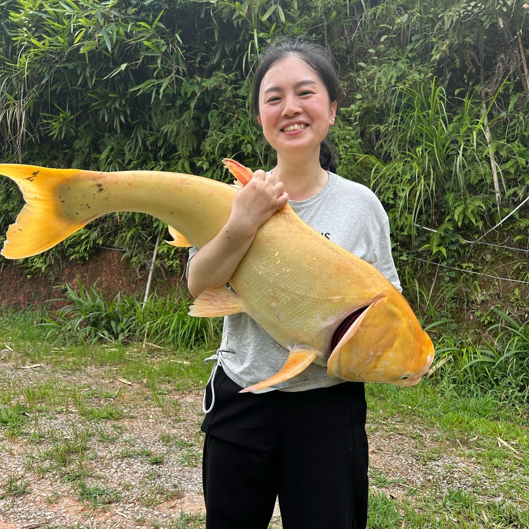 曹大姐和阿伟